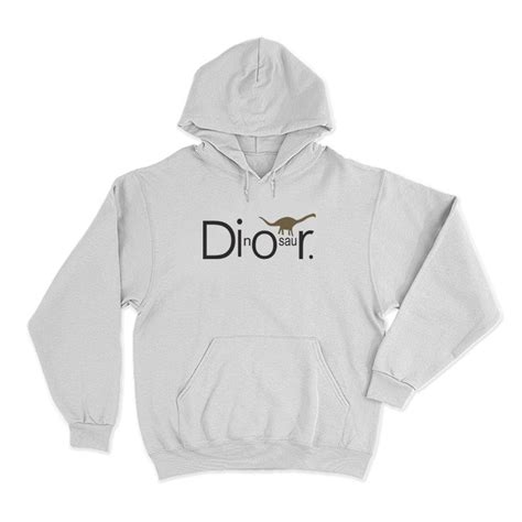 dior dinosaur hoodie|women christian dior hoodie.